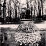 Kids on the fountain